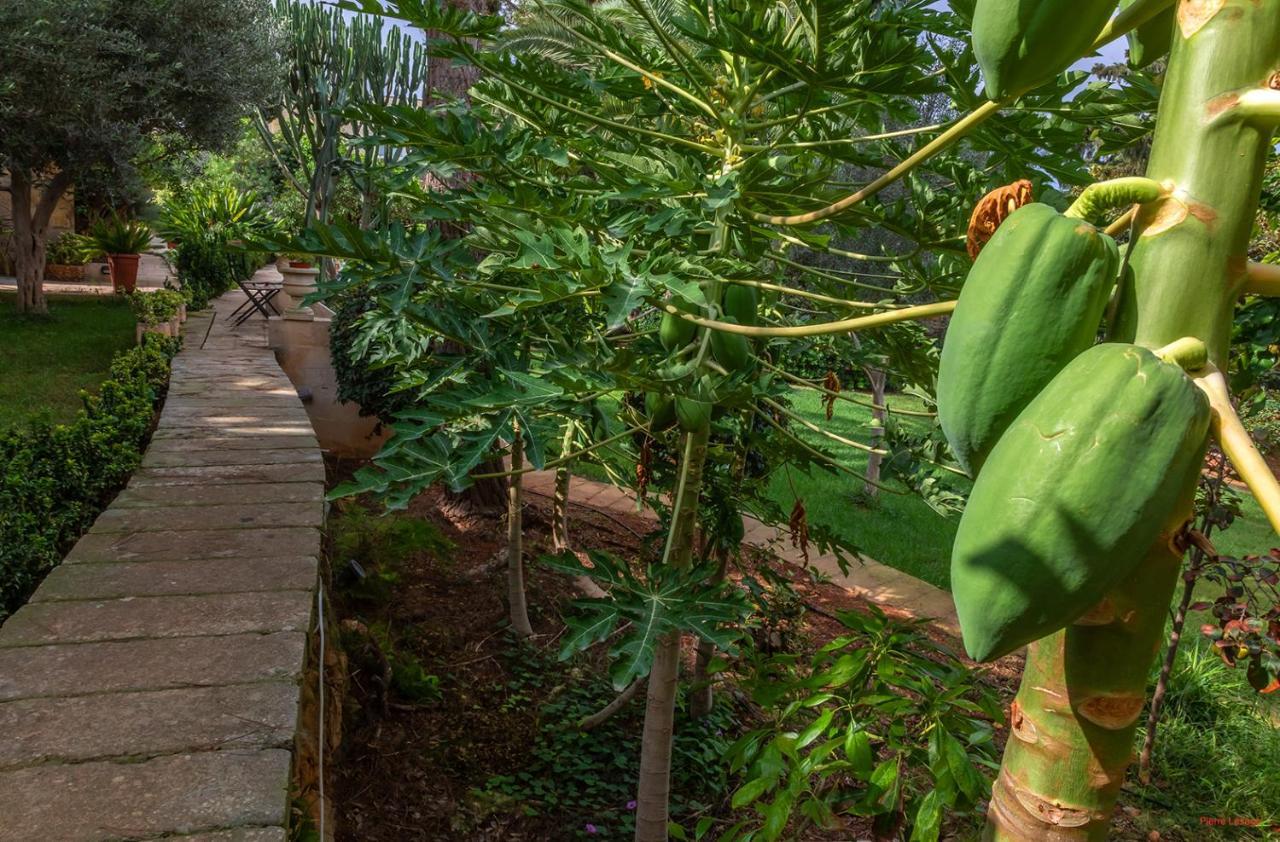 Villa Selmunett Naxxar Zewnętrze zdjęcie