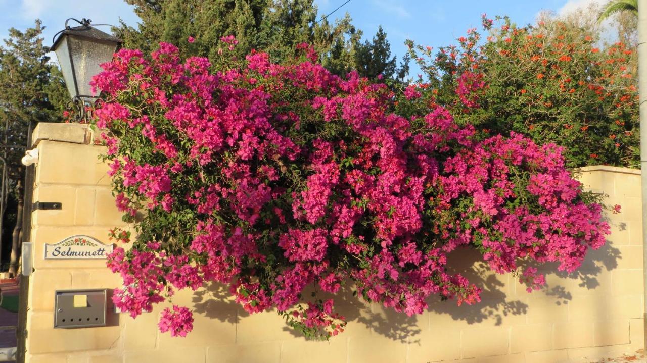 Villa Selmunett Naxxar Zewnętrze zdjęcie